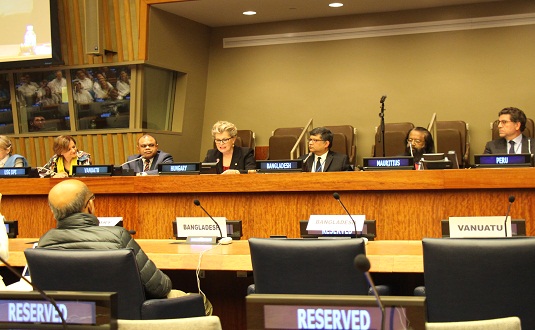 প্রথমবারের মতো জাতিসংঘে আন্তর্জাতিক মাতৃভাষা দিবস পালিত