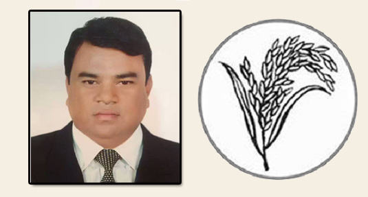 বিএনপির গয়াছ ওসমানীনগরে ভাইস চেয়ারম্যান পদে বিজয়ী