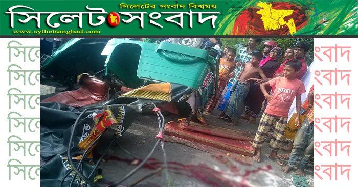 নবীগঞ্জে সড়ক দুর্ঘটনায় মা-ছেলেসহ নিহত ৩