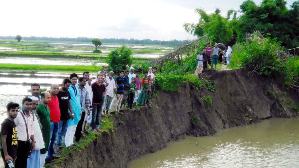 কানাইঘাট চরিপাড়ায় সুরমা ডাইকে ভয়াবহ ভাঙ্গন