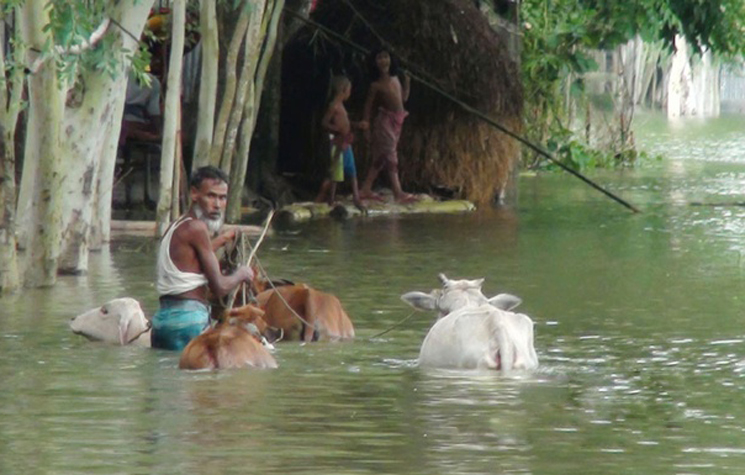 গোয়াইনঘাটে বন্যা : আমরা কুয়াই যাইতাম,আমরা কিলানখরি বাঁচি রইতাম