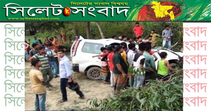 দক্ষিণ সুরমায় মাইক্রোবাস নিয়ন্ত্রণ হারিয়ে খাদে পড়ে ২ জনের মৃত্যু