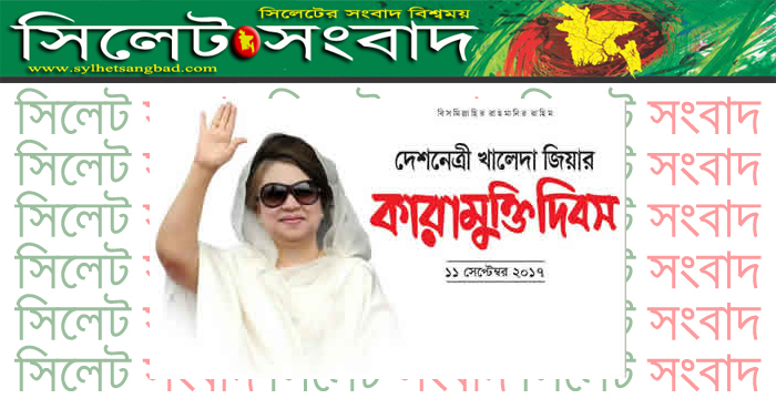 Maftunkor qiz bilan liftda jinsiy aloqani tomosha qiling