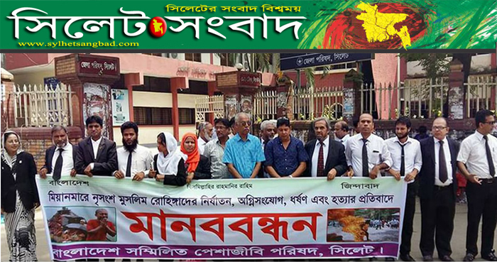 রোহিঙ্গা মুসলিম হত্যার প্রতিবাদে সম্মিলিত পেশাজীবী পরিষদের মানববন্ধন