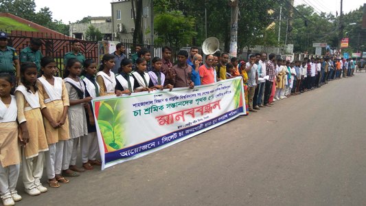 বিশ্ববিদ্যালয়ে চা শ্রমিক সন্তানদের ভর্তির কোটা দাবি