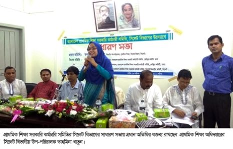 প্রাথমিক শিক্ষা সরকারি কর্মচারি সমিতির সভা অনুষ্ঠিত