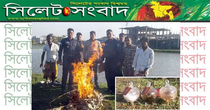 কানাইঘাটে আগুনে পুড়লো ৪৬ কোটি টাকার সাপের বিষ