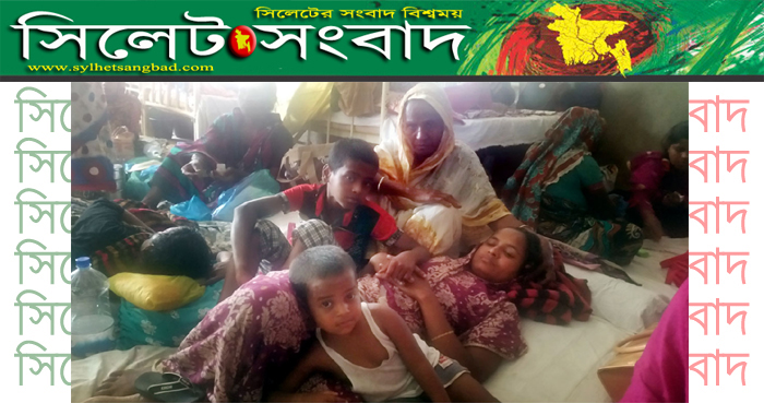 যৌতুকের দাবীতে স্বামীর নির্যাতন ।। স্ত্রী হাসপাতালে