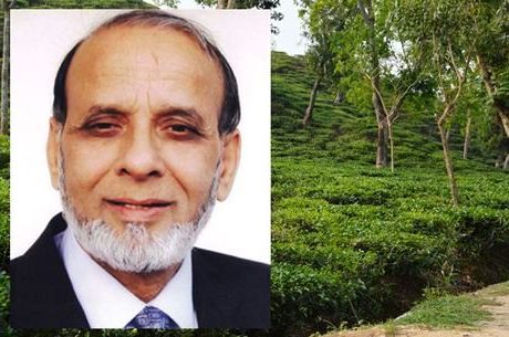 টিলা কাটার দায়ে রাগীব আলীকে ৯ লাখ টাকা জরিমানা