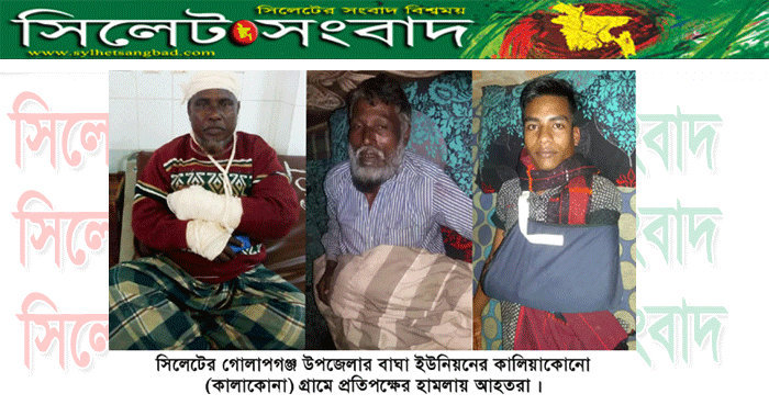 বাঘায় প্রতিপক্ষের হামলা আহত ৩