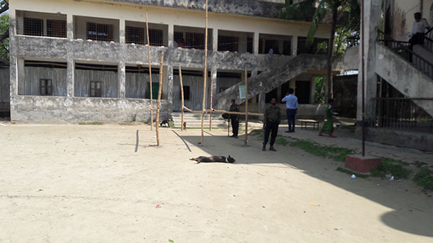 লক্ষ্মীপুরে নিরব-নিস্তব্ধ ভোটকেন্দ্র