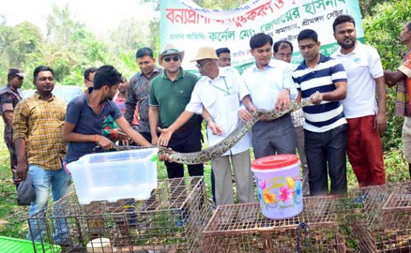 স্বাধীনতা দিবসে বনে ফিরল ১১ বন্যপ্রাণী
