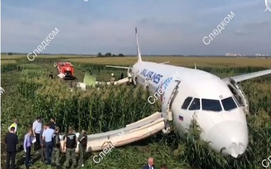 ভুট্টা ক্ষেতে  বিমান নামিয়ে হিরো রাশিয়ান পাইলট
