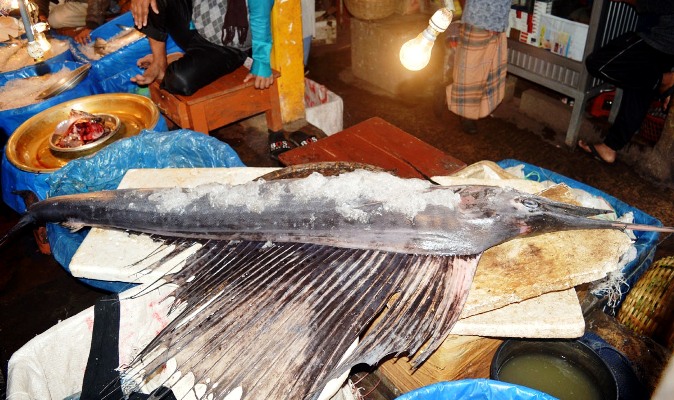 লালবাজারে পংখিরাজ মাছ, জনতার ভীড়