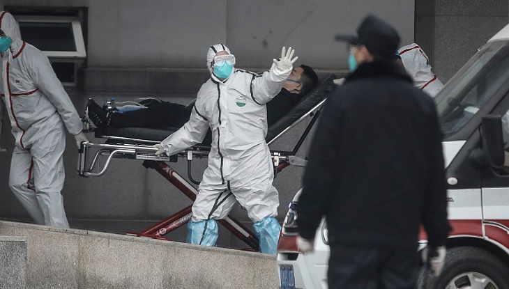 করোনা : ১১ মাস আগেই সতর্ক করেছিলেন উহানের ব্যাট ওম্যান!