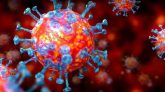 গরমে কতটা ছড়াতে পারে করোনা ভাইরাস?