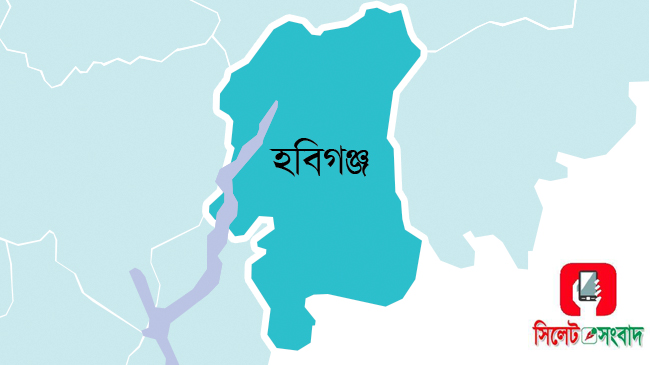 হবিগঞ্জে আরও ২ জনের করোনা শনাক্ত