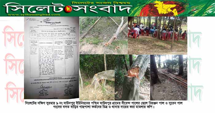 দাউদপুরে সুরেন পালের বাড়িতে হামলার ঘটনায় ১৬ জনের বিরুদ্ধে মামলা দায়ের