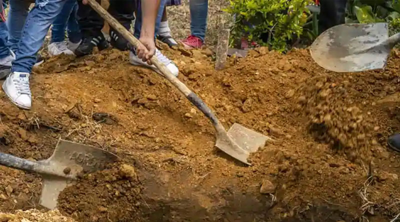 উত্তর চিনে মাকে জ্যান্ত মাটি চাপা দিল ছেলে