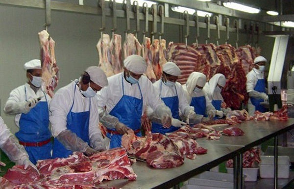 এক কসাইখানায় ১০০ জনের করোনা পজেটিভ!