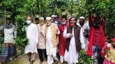 সিলেটে সীমিত পরিসরে হলো শাহজালালের ‘লাকড়িতোড়া উৎসব’