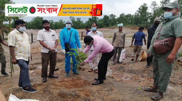 জাফলংয়ে ৯ হেক্টর ভূমিতে বন সৃজনের উদ্যোগ বন বিভাগের