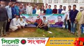 মুজিববর্ষে দক্ষিণ সুরমায় আ’লীগ নেতা হাবিবের বৃক্ষ রোপন ও বিতরণ