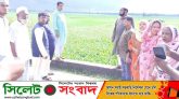 সিলেট মেডিকেল বিশ্ববিদ্যালয়ের স্থান পরিদর্শনে বৃহত্তর সিলেট গণদাবী পরিষদ কেন্দ্রীয় কমিটির নেতৃবৃন্দ