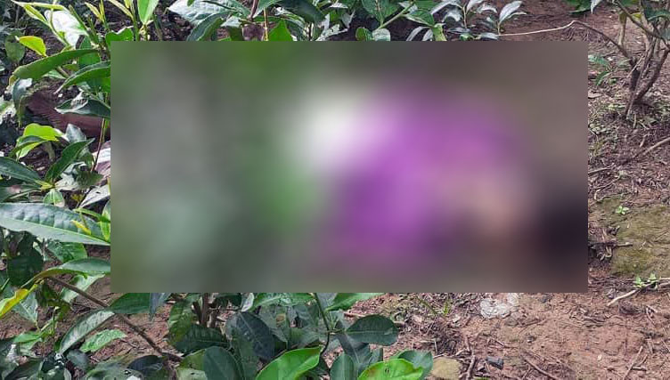 শ্রীমঙ্গলে চা বাগানে মিলল এক ব্যক্তির মৃতদেহ