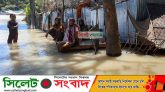 সুনামগঞ্জে পানিবন্দি লাখো মানুষ