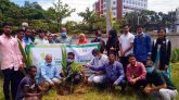 এম সি কলেজে রোটারি ক্লাব অব সিলেট এলিগ্যান্সের বৃক্ষ রোপন