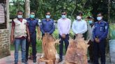 বড়লেখায় মায়া হরিণের চামড়া উদ্ধার