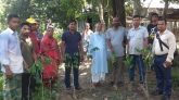 মুজিববর্ষে ৩য় দ্বাপে তুরুকখলা হাড়িয়ারচর গ্রামে বৃক্ষরোপন