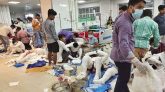 মসজিদে বিস্ফোরণ : আরও একজনের মৃত্যু, মোট ২৫
