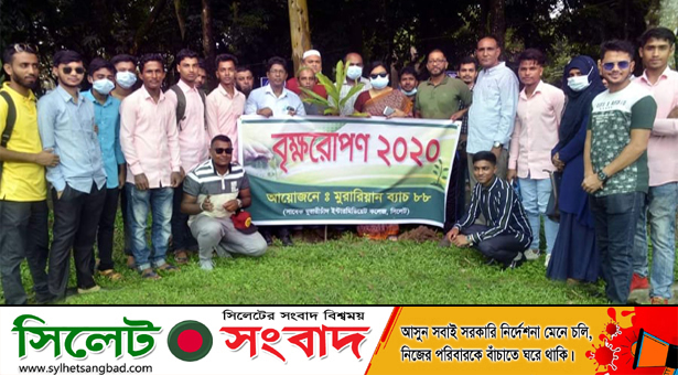 এম সি কলেজে মুরারিয়ান ব্যাচ ৮৮’র বৃক্ষরোপণ কর্মসূচি পালন