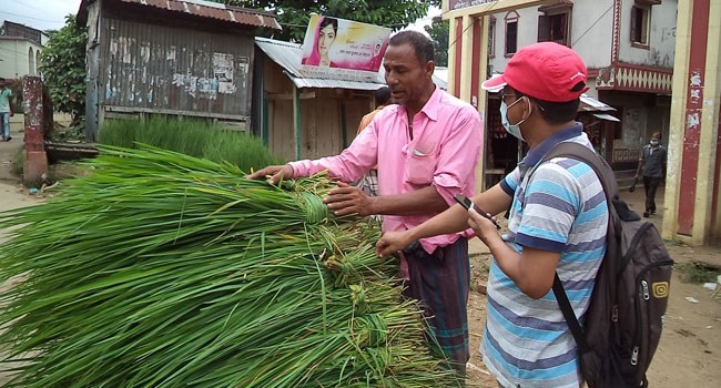 ঘাস বিক্রি করে জীবিকা নির্বাহকারী ইসমাইলের জীবনকথা