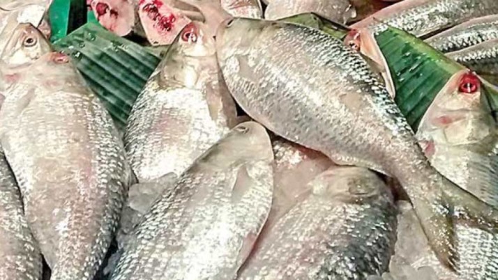 দেশের ভেতর ভ্রমণেই জনপ্রতি ৪ লাখ টাকা!