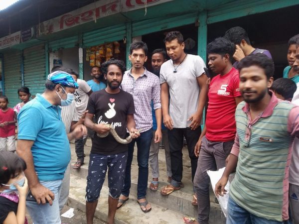 পীর মহল্লায় দোকানের ড্রয়ার থেকে অজগর উদ্ধার