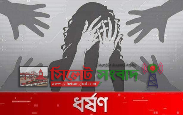 নগরের শামীমাবাদে এবার বাসায় ঢুকে গৃহবধুকে জোরপূর্বক ধর্ষণ