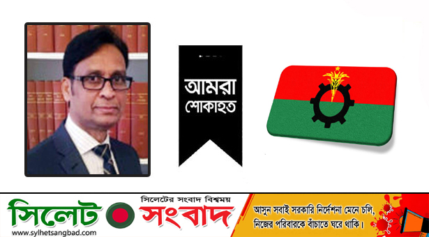 এমদাদ হোসেন টিপুর মাতার মৃত্যুতে বিএনপি নেতা ব্যারিস্টার সালামের শোক