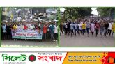 মানুষের জানমালের নিরাপত্তা দিতে সরকার ব্যর্থ : মিজানুর রহমান