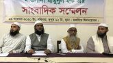 বক্তব্য ভাস্কর্যের বিরুদ্ধে, বঙ্গবন্ধুর বিরুদ্ধে নয় : মামুনুল হক