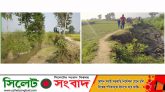 গোলাপগঞ্জ বাদেপাশা আলমপুর-মাসুরা’র একমাত্র রাস্তা সংস্কারের দাবী এলাকা বাসীর