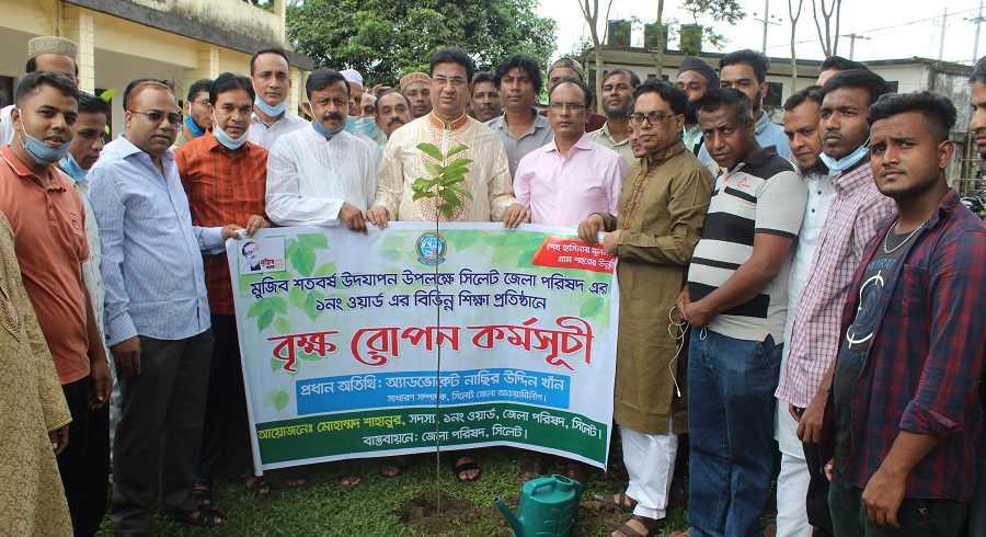 শুধু বৃক্ষ নিধন নয়, বৃক্ষরোপণ করুন : এড. নাসির উদ্দিন