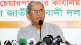 সরকার মুক্তিযুদ্ধের সব অর্জন ধ্বংস করে দিচ্ছে : মির্জা ফখরুল