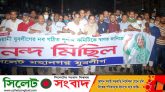 কেন্দ্রীয় কমিটিকে স্বাগত জানিয়ে সিলেট মহানগর যুবলীগের আনন্দ মিছিল