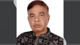 শায়েস্তাগঞ্জে বিএনপির ফরিদ জয়ী