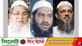 ভাস্কর্য : মামুনুল-বাবুনগরী-ফয়জুলের বিরুদ্ধে রাষ্ট্রদ্রোহ মামলা