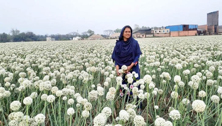 পেঁয়াজের বীজ চাষে কোটিপতি সাহিদা