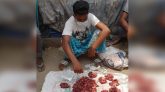 শিয়ালের মাংস’সহ যুবক আটক